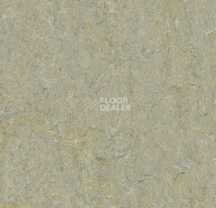 Линолеум Forbo Marmoleum Decibel on Order 580135 river bank фото 1 | FLOORDEALER